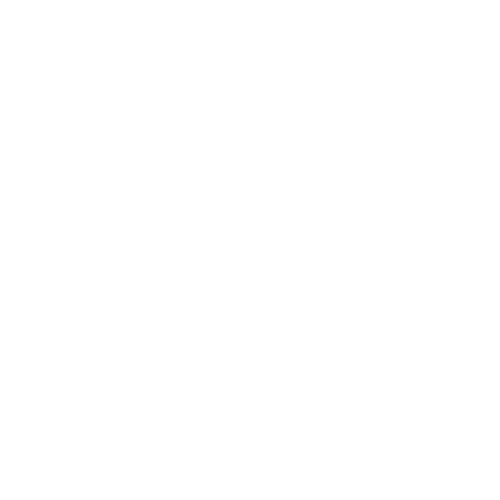 logo-white